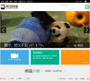 熊猫频道缩略图
