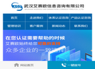 武汉艾赛欧信息咨询缩略图