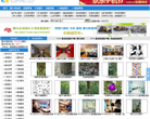 天堂图片网缩略图