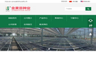 金华金麦田种业缩略图