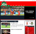 河南建业足球俱乐部缩略图