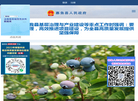 嘉鱼县人民政府缩略图