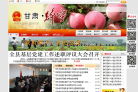 静宁县人民政府缩略图