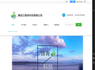 黑龙江锦青科技缩略图