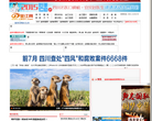 宜宾日报金江网缩略图