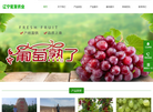 北镇市宏发葡萄苗木种植专业合作社缩略图