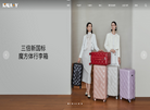 浙江卡拉扬集团缩略图