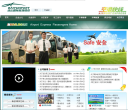 空港快线缩略图
