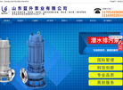 山东蓝升泵业缩略图