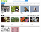素材之家缩略图