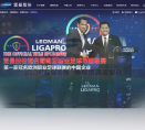 雷曼股份缩略图