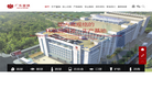 广东蕾琪化妆品官方网站缩略图