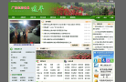 连平县政府网缩略图