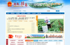 临高县人民政府网缩略图