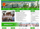 灵宝市人民政府网缩略图