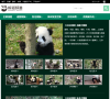 iPanda熊猫频道缩略图