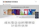 东锐恒创品牌设计缩略图