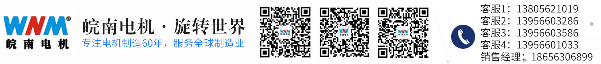 安徽泾县皖华电机销售有限公司缩略图