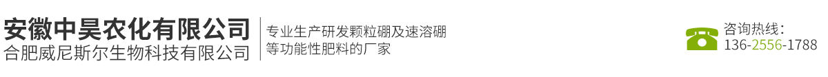 安徽中昊农化有限公司缩略图