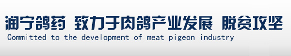 肉鸽添加剂_肉鸽饲料_保健砂_润宁鸽药-河北润宁生物科技有限公司缩略图