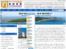 龙兴华宝知识产权网LOSOHOBO Intellectual Property Network缩略图