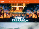 重庆王一汉餐饮发展缩略图
