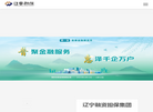 辽宁省融资担保集团缩略图