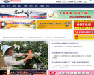 凉山新闻网缩略图