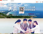 鲁能集团有限公司缩略图