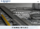 洛阳轴承集团瑞环大型轴承缩略图