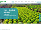 浏阳市柏加镇佳智苗圃网站缩略图