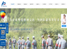 兰州攀翔企业管理咨询缩略图
