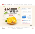 163网易免费邮缩略图