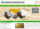 深圳市惠诚白蚁防治缩略图