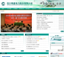 明星电力缩略图