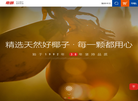 海南南国食品实业缩略图