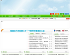 南郑县人民政府门户网站缩略图