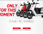 小牛电动缩略图