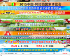 石嘴山网缩略图
