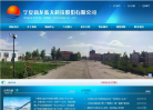 宁夏新龙缩略图