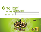 One leaf 一叶子缩略图