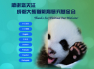 成都大熊猫繁育研究基金会缩略图