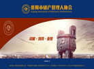 贵阳市破产管理人协会缩略图
