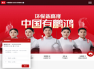 鹏鸿官方网站缩略图