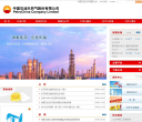 中国石油天然气股份有限公司缩略图