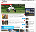 宠物天空网缩略图