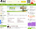 苹果绿养生网缩略图