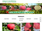 扶风县圣丰苗木繁育中心缩略图