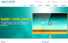 保千里（PROTRULY）集团缩略图