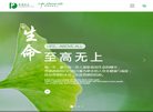 山西普德药业官网缩略图